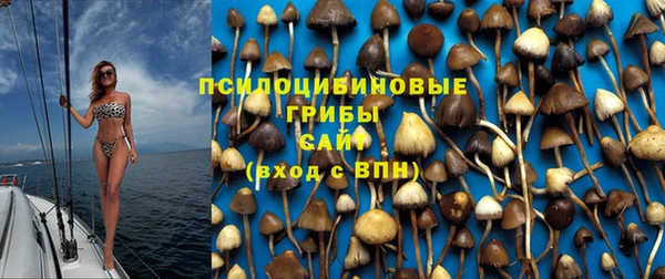 дмт Кинешма
