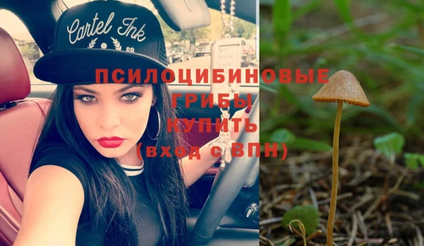гашик Иноземцево