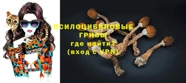 не бодяженный Карпинск