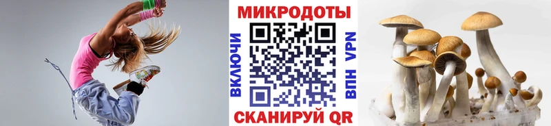 Галлюциногенные грибы Magic Shrooms  Ковдор 